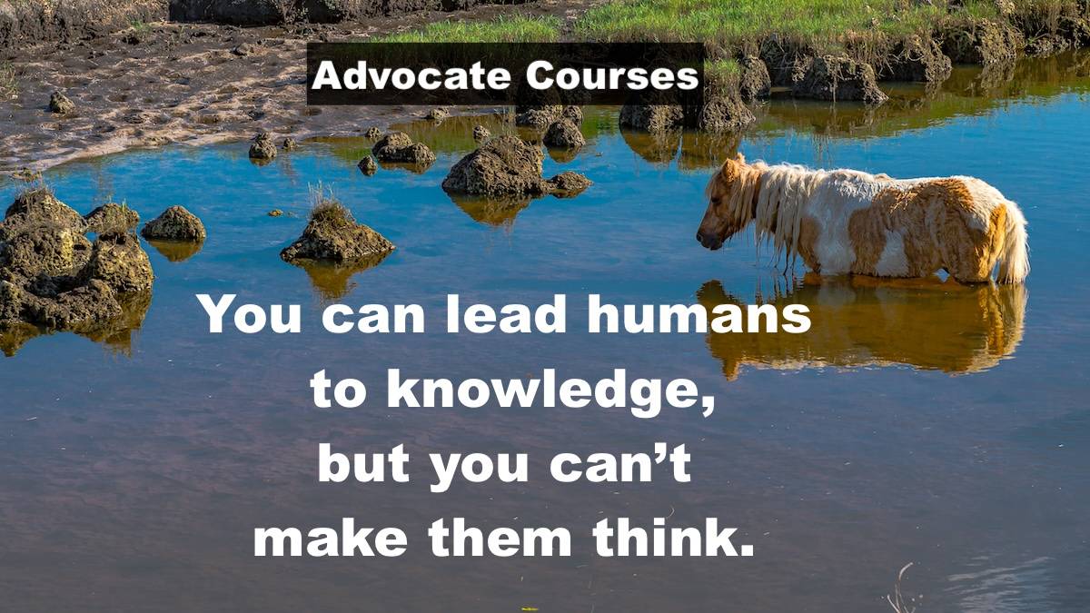 Advocate Courses